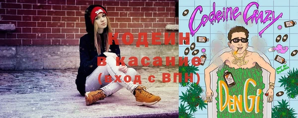 прущие грибы Богородск