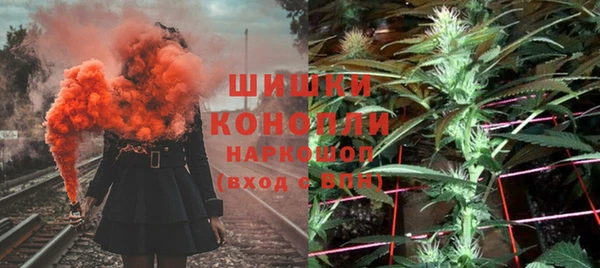 дурь Богданович