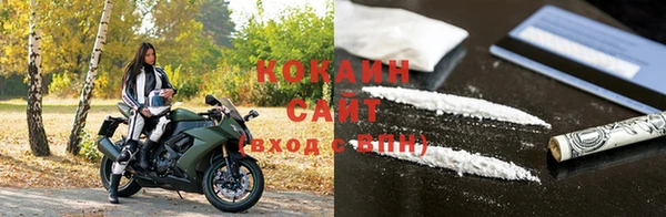 прущие грибы Богородск