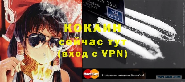 прущие грибы Богородск