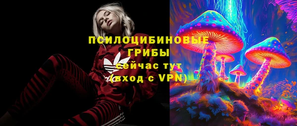 дурь Богданович