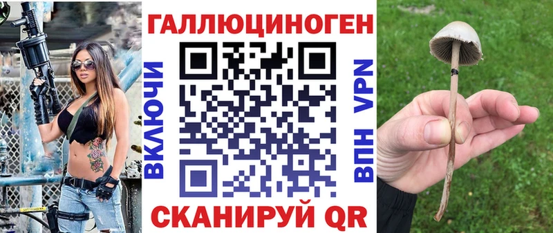 закладки  Володарск  Галлюциногенные грибы Cubensis 